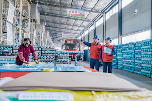 國網甘肅電力 黨建引領優質服務，網絡工程擦亮卓越服務新名片