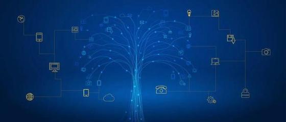 重磅發(fā)布！內(nèi)江高校網(wǎng)絡(luò)工程專業(yè)全景解析 從課程體系到就業(yè)藍(lán)圖